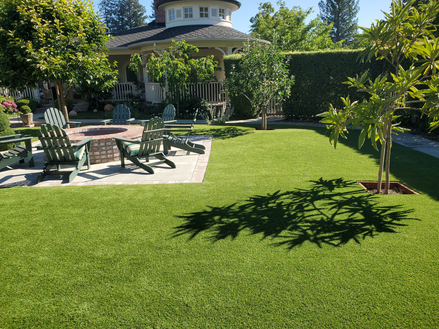 San Francisco artificial turf lawn